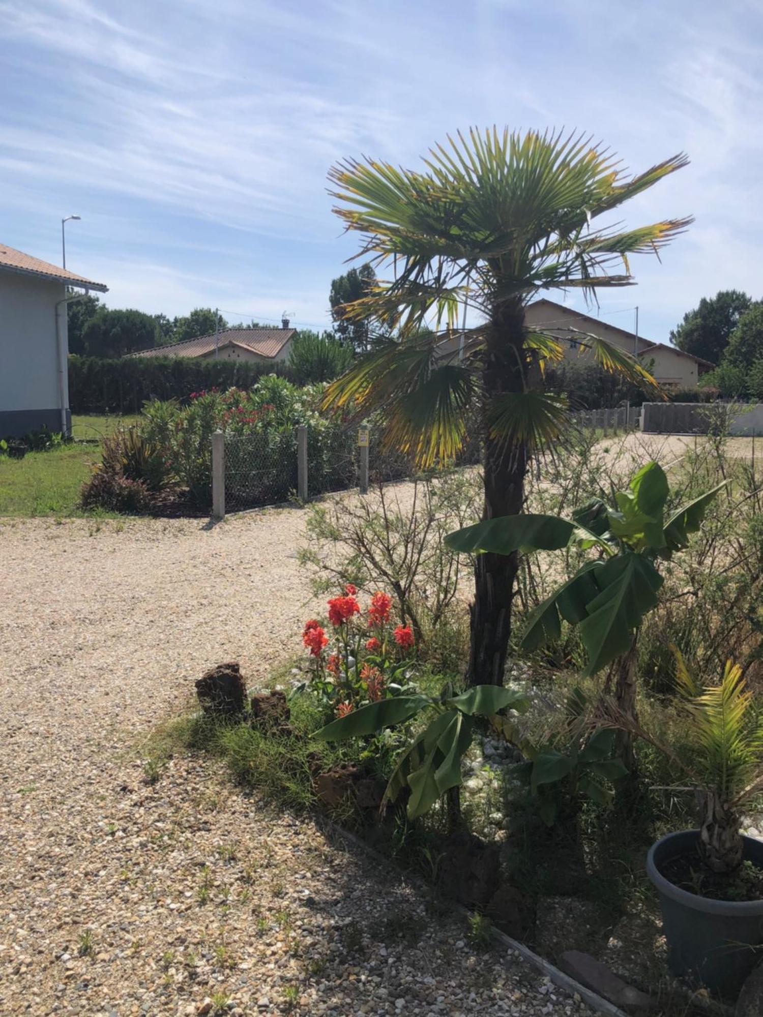 "Les Logis D'Argent" Chambre D'Hote Avec Wc, Sdb, Tv, Wifi, Option Petit Dejeuner , Parking Mimizan Exterior photo